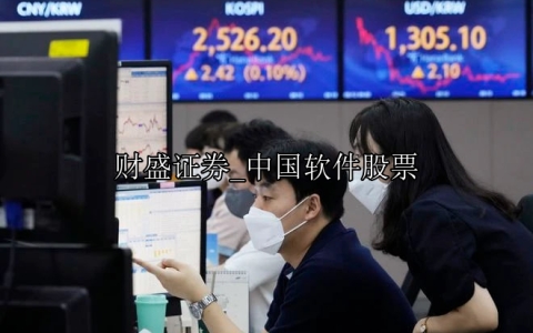 中国软件股票