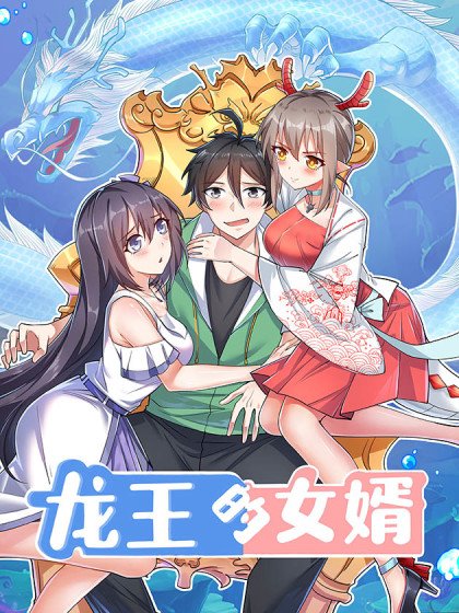 龍王的女婿封面